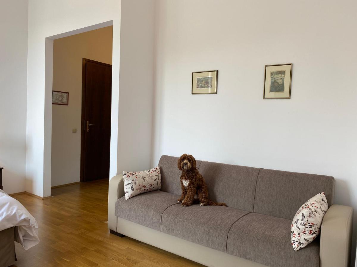 Kakasszéki Vendégház Székkutas Esterno foto