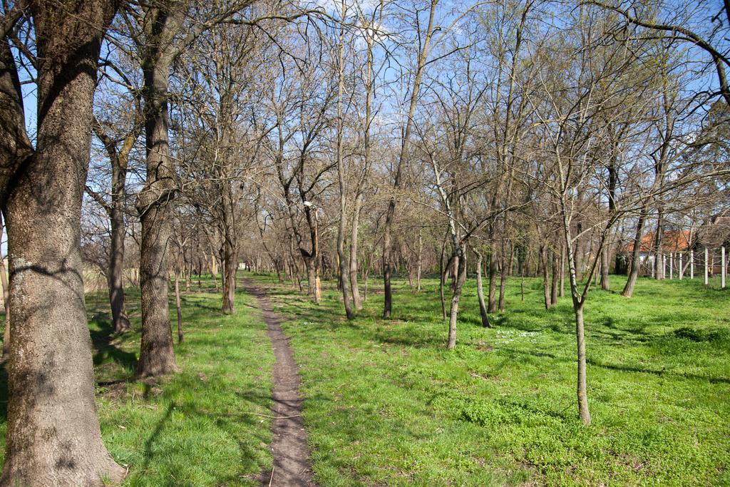 Kakasszéki Vendégház Székkutas Esterno foto