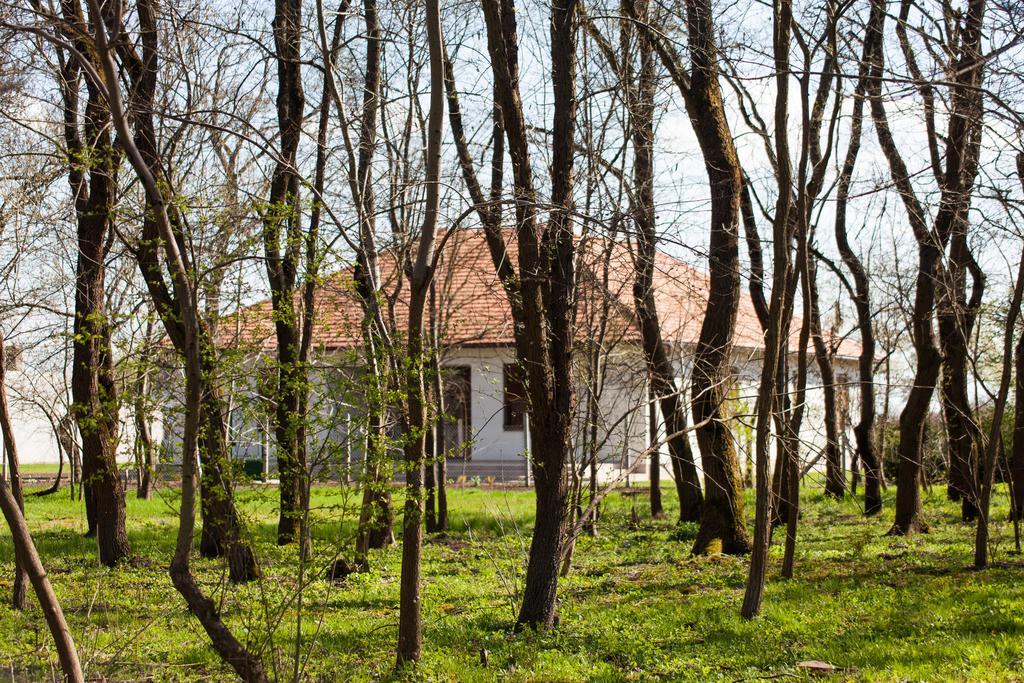 Kakasszéki Vendégház Székkutas Esterno foto