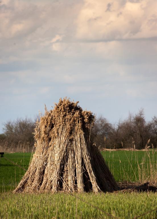 Kakasszéki Vendégház Székkutas Esterno foto